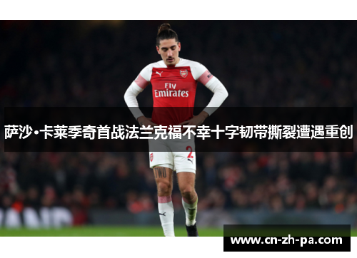 萨沙·卡莱季奇首战法兰克福不幸十字韧带撕裂遭遇重创 萨沙·卡莱季奇首战法兰克福不幸十字韧带撕裂遭遇重创